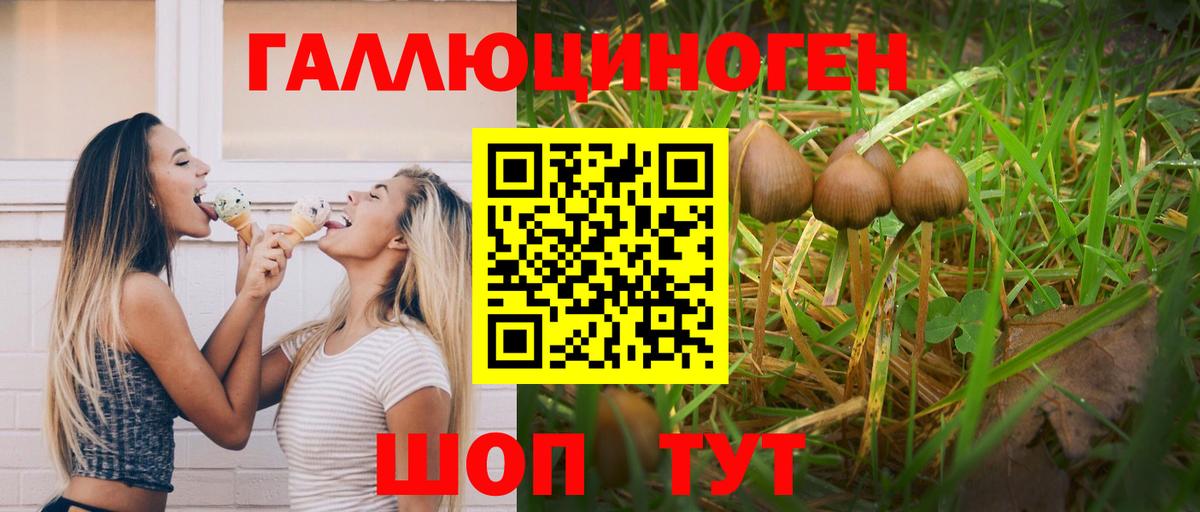 Галлюциногенные грибы Cubensis Саров
