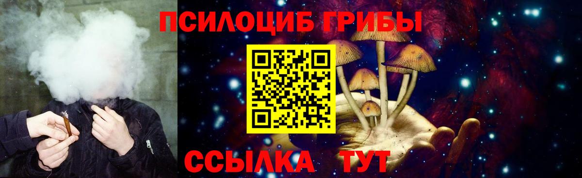 Саров  Псилоцибиновые грибы GOLDEN TEACHER  Вход с VPN 